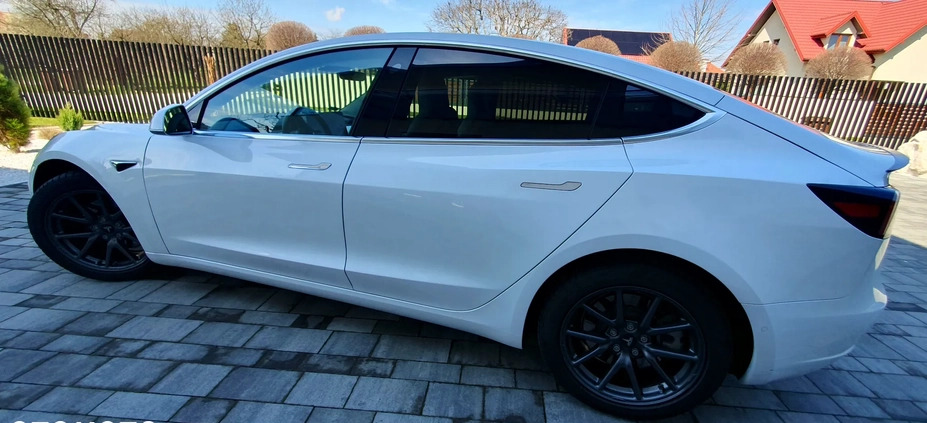 Tesla Model 3 cena 149000 przebieg: 50500, rok produkcji 2019 z Mielec małe 121